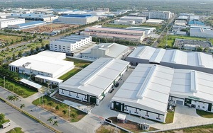 Đề xuất quy định xử phạt vi phạm hành chính lĩnh vực đầu tư, đấu thầu, đăng ký doanh nghiệp, hợp tác xã, quy hoạch