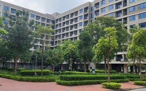 Chuẩn bị quỹ đất sạch để phát triển nhà ở cho thuê; kiểm soát, ngăn chặn tình trạng đầu cơ nhà ở...
