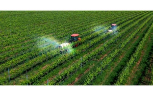 TOÀN VĂN: Nghị định 214/2026/NĐ-CP xử phạt vi phạm hành chính về trồng trọt, bảo vệ và kiểm dịch thực vật
