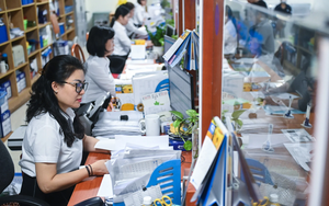 Quy định bậc nghề nghiệp áp dụng lương viên chức
