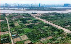Đề xuất miễn thuế sử dụng đất phi nông nghiệp với đất dùng cho giáo dục và đào tạo