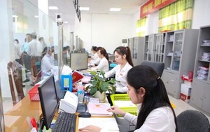 Tỷ lệ viên chức bố trí theo bậc nghề nghiệp của vị trí việc làm