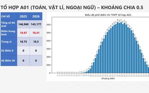 PHỔ ĐIỂM CÁC TỔ HỢP MÔN A00, A01, B00, C00, D01, KỲ THI TỐT NGHIỆP NĂM 2026