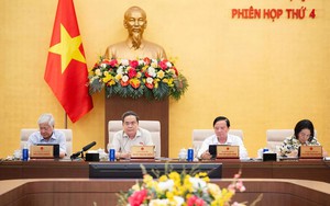 Sửa 10 luật về lĩnh vực nông nghiệp, môi trường: Đề xuất cắt giảm, đơn giản hóa 51 TTHC; cắt giảm 40 điều kiện kinh doanh