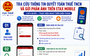 Hướng dẫn tra cứu thông tin quyết toán thuế thu nhập cá nhân và gửi phản ánh trên eTax Mobile