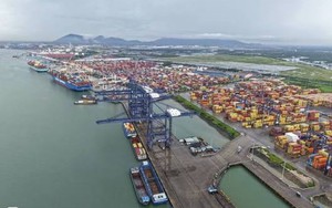 Thành lập Khu Thương mại tự do thành phố Hồ Chí Minh