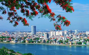 Giao Công an phối hợp với cơ quan Thuế rà soát hộ kinh doanh; tăng cường điều tra, xử lý các hành vi gian lận, trốn thuế