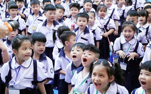 Chi tiết LỘ TRÌNH SẮP XẾP, SÁP NHẬP, GIẢM ÍT NHẤT 30% ĐẦU MỐI CƠ SỞ GIÁO DỤC