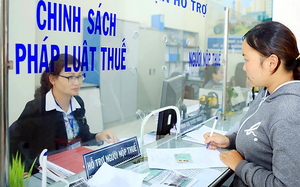 Các trường hợp công khai thông tin người nộp thuế