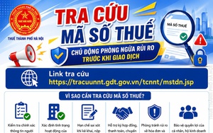 Hướng dẫn tra cứu mã số thuế