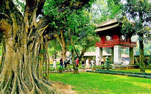 SẮP XẾP BỘ MÁY: Quy định mới về chức năng, nhiệm vụ, quyền hạn, cơ cấu tổ chức của Sở VHTTDL Hà Nội