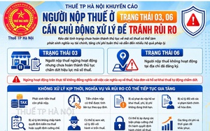 Khuyến cáo người nộp thuế ở trạng thái 03, 06: Cần chủ động xử lý để tránh rủi ro