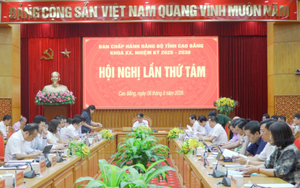 SẮP XẾP, TINH GỌN BỘ MÁY: Thống nhất THÀNH LẬP 2 ĐẢNG BỘ trực thuộc TỈNH ỦY