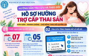 Hướng dẫn tra cứu, theo dõi hồ sơ hưởng trợ cấp thai sản