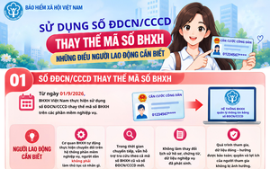 Sử dụng số căn cước công dân thay thế mã số Bảo hiểm xã hội: Những điều người lao động cần biết