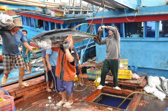 Xử lý hình sự hành vi môi giới đưa tàu cá Việt Nam khai thác trái phép ở vùng biển nước ngoài - Ảnh 1.