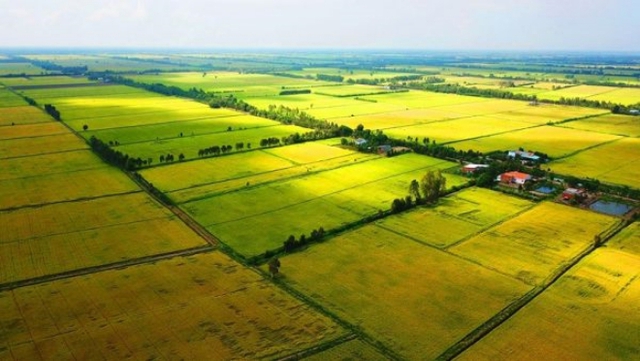 Đề xuất bổ sung quy định người sử dụng đất nông nghiệp được chuyển đổi cơ cấu cây trồng, vật nuôi - Ảnh 1.
