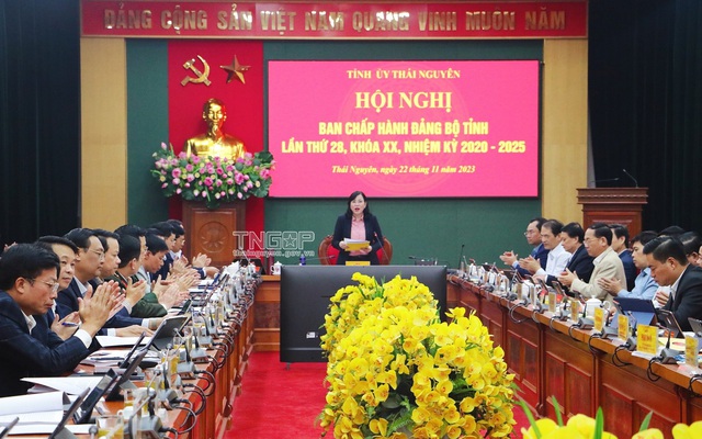 Ban Bí thư chỉ định Bí thư Huyện, Giám đốc Sở, Chánh Thanh tra tỉnh tham gia BCH Đảng bộ tỉnh- Ảnh 4.
