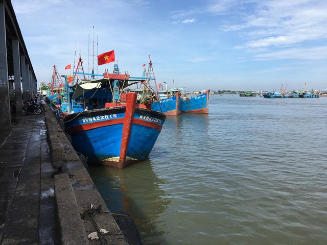 Thủ tướng phê bình tỉnh Bà Rịa - Vũng Tàu; yêu cầu kiểm điểm, xử lý nghiêm các tổ chức, cá nhân - Ảnh 2.