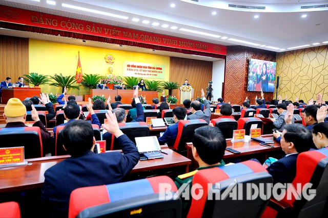 HĐND tỉnh Hải Dương thông qua 41 nghị quyết, trong đó có nhiều chính sách về an sinh xã hội- Ảnh 3.