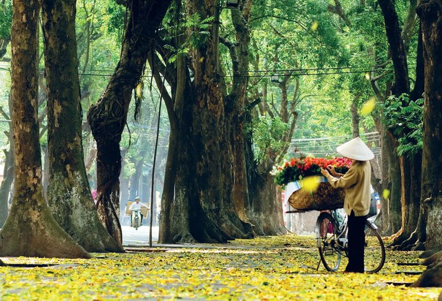 Sẽ quy định cụ thể về quản lý ô tô dừng, đỗ trên vỉa hè, lòng đường - Ảnh 4.