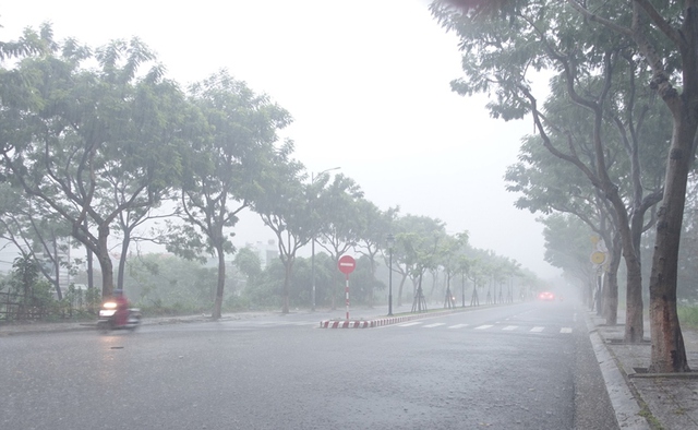 ÁP THẤP NHIỆT ĐỚI cách QUẢNG NGÃI 80km, MƯA LỚN DIỆN RỘNG, CÓ NƠI TRÊN 450mm - Ảnh 3. ÁP THẤP NHIỆT ĐỚI cách QUẢNG NGÃI 80km, MƯA LỚN DIỆN RỘNG, CÓ NƠI TRÊN 450mm - Ảnh 3.