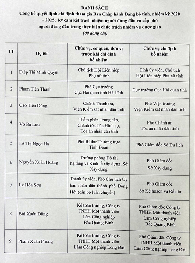 Ban Bí thư chỉ định nhân sự tham gia Ban Chấp hành Đảng bộ tỉnh- Ảnh 2.