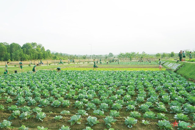 Triển khai hướng dẫn bảo đảm quân nhu cho hạ sĩ quan, chiến sĩ ra quân và tiêu chuẩn Tết cho bộ đội- Ảnh 3.