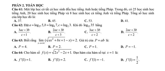 Đề thi minh họa đánh giá năng lực của ĐHQG TP HCM: Phần 2 Toán học- Ảnh 1.