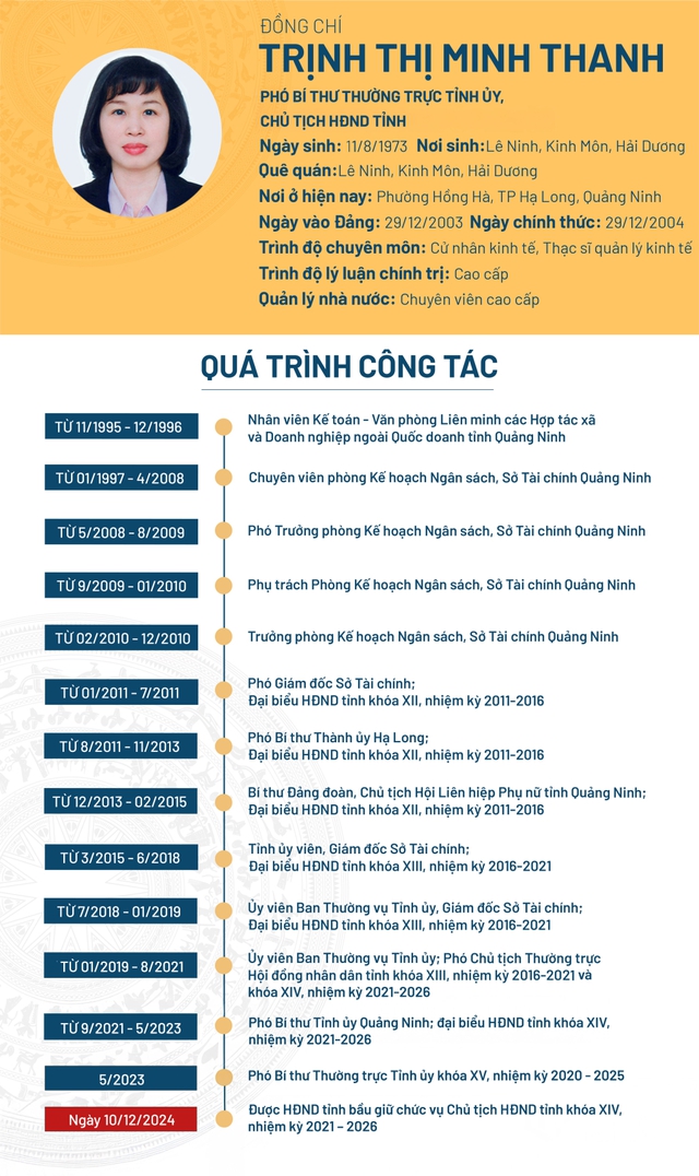 Nữ Phó Bí thư Thường trực Tỉnh ủy được bầu giữ chức vụ mới- Ảnh 2.