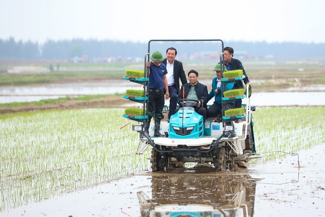 Thủ tướng Phạm Minh Chính cấy lúa, thu hoạch cà rốt cùng nông dân- Ảnh 5.