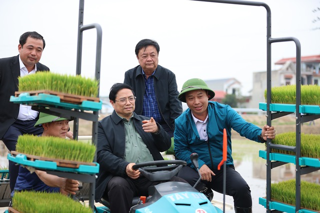 Thủ tướng Phạm Minh Chính xuống đồng cấy lúa, thu hoạch cà rốt cùng nông dân- Ảnh 4.