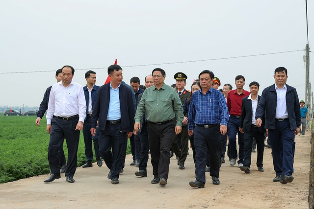 Thủ tướng Phạm Minh Chính xuống đồng cấy lúa, thu hoạch cà rốt cùng nông dân- Ảnh 11.