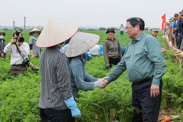 Thủ tướng Phạm Minh Chính xuống đồng cấy lúa, thu hoạch cà rốt cùng nông dân- Ảnh 12.