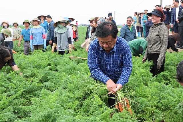Thủ tướng Phạm Minh Chính xuống đồng cấy lúa, thu hoạch cà rốt cùng nông dân- Ảnh 14.