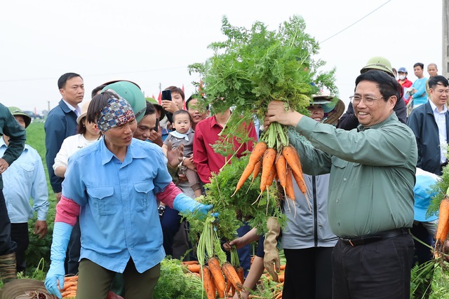 Thủ tướng Phạm Minh Chính xuống đồng cấy lúa, thu hoạch cà rốt cùng nông dân- Ảnh 17.