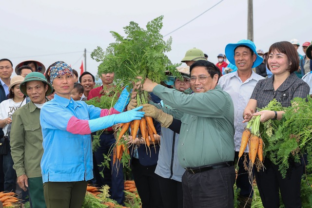 Thủ tướng Phạm Minh Chính xuống đồng cấy lúa, thu hoạch cà rốt cùng nông dân- Ảnh 18.