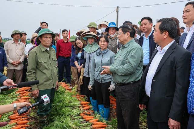 Thủ tướng Phạm Minh Chính xuống đồng cấy lúa, thu hoạch cà rốt cùng nông dân- Ảnh 19.