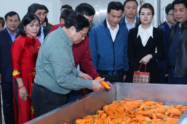Thủ tướng Phạm Minh Chính xuống đồng cấy lúa, thu hoạch cà rốt cùng nông dân- Ảnh 23.