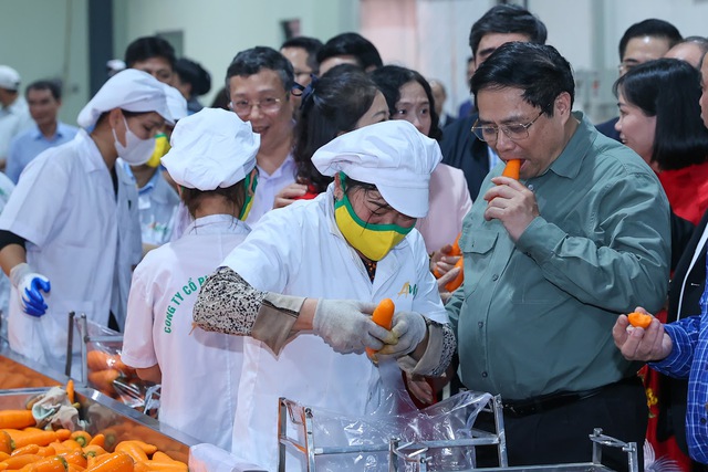 Thủ tướng Phạm Minh Chính xuống đồng cấy lúa, thu hoạch cà rốt cùng nông dân- Ảnh 24.
