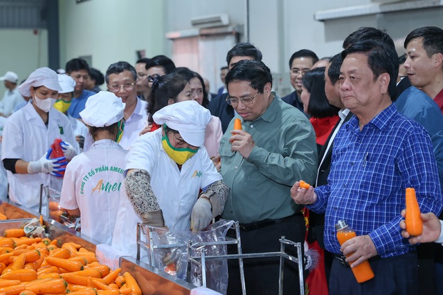 Thủ tướng Phạm Minh Chính xuống đồng cấy lúa, thu hoạch cà rốt cùng nông dân- Ảnh 25.