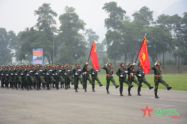 Hợp luyện các khối diễu binh, diễu hành kỷ niệm 70 năm Chiến thắng Điện Biên Phủ- Ảnh 8.