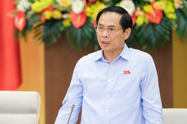 Chất vấn Bộ trưởng Bùi Thanh Sơn công tác bảo hộ công dân; sắp xếp, kiện toàn bộ máy ngoại giao- Ảnh 1.