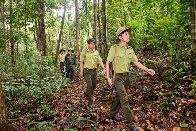 Đề xuất sửa đổi, bổ sung quy định về Kiểm lâm và Lực lượng chuyên trách bảo vệ rừng- Ảnh 1.