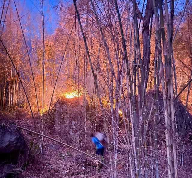 Nguy cơ cháy rừng cực kỳ nguy hiểm: Ban Thường vụ Tỉnh ủy, UBND tỉnh chỉ đạo cấp bách ứng phó- Ảnh 1.