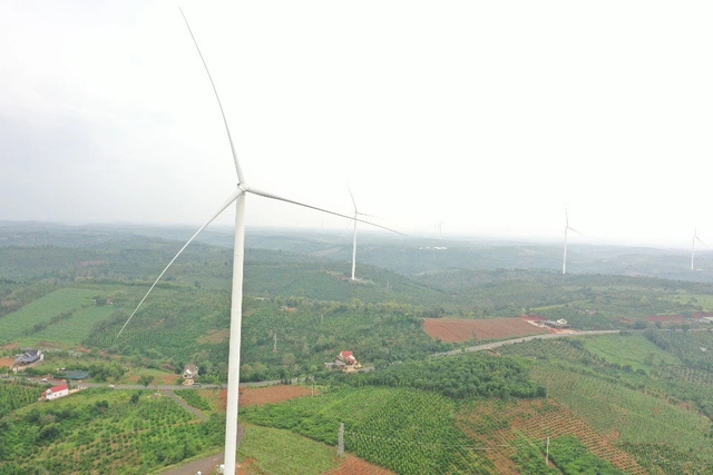Ủy ban Kiểm tra Trung ương yêu cầu cung cấp hồ sơ các dự án điện gió- Ảnh 1.