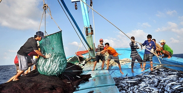 Quy định về giám sát viên trên tàu cá hoạt động khai thác ở vùng biển Việt Nam- Ảnh 1.