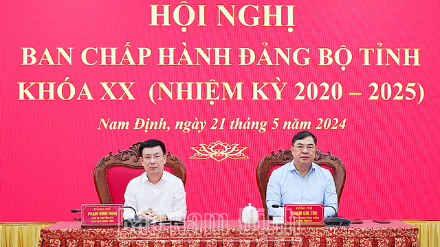 Tỉnh ủy Nam Định công bố các Quyết định của Ban Bí thư, tổng kết 2 Chỉ thị, Hướng dẫn- Ảnh 1.