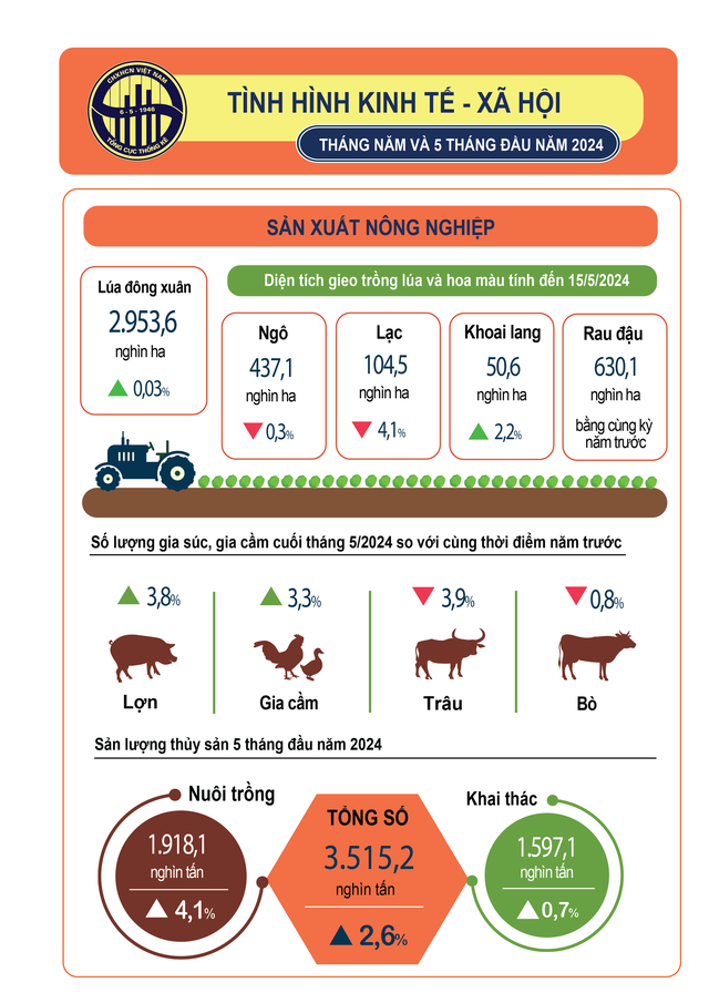 BÁO CÁO TÌNH HÌNH KTXH THÁNG NĂM VÀ 5 THÁNG ĐẦU NĂM 2024- Ảnh 1.