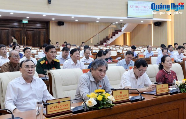 Thông qua mức hỗ trợ lực lượng bảo vệ an ninh, trật tự ở cơ sở trên địa bàn tỉnh Quảng Ngãi- Ảnh 3.